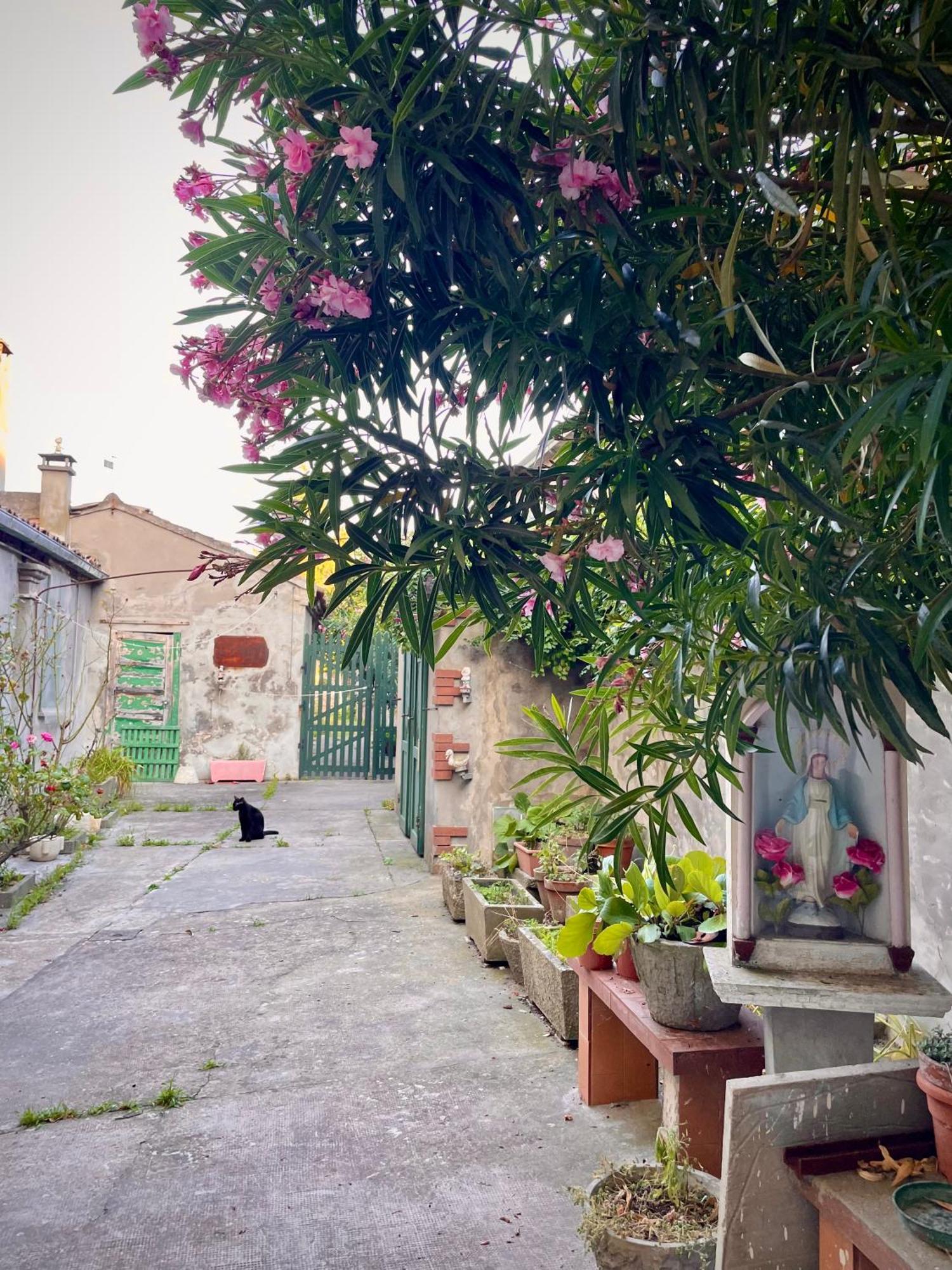 L'Encanto De Luna -Una Casa Autentica Comacchiese Comacchio Exteriör bild